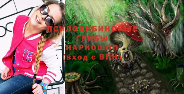 дживик Пестово