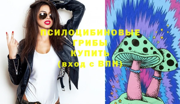 дживик Пестово