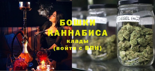 ГАЛЛЮЦИНОГЕННЫЕ ГРИБЫ Осинники