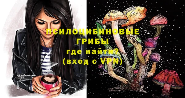 мяу мяу кристалл Переславль-Залесский