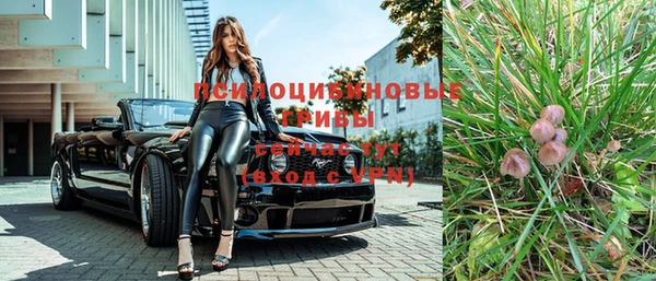 мяу мяу кристалл Переславль-Залесский