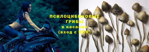мяу мяу кристалл Переславль-Залесский