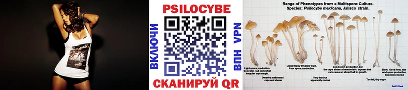 darknet какой сайт  omg зеркало  Истра  Галлюциногенные грибы Cubensis 