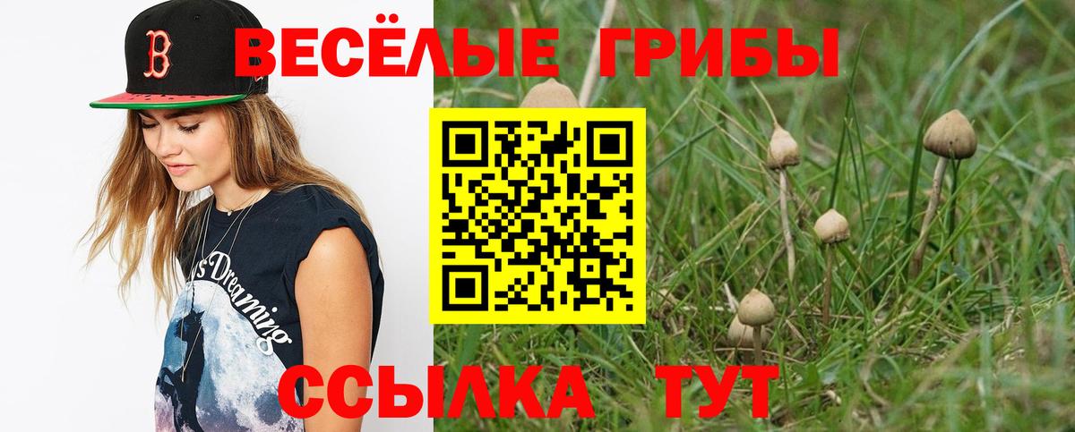 Псилоцибиновые грибы Cubensis  Истра 