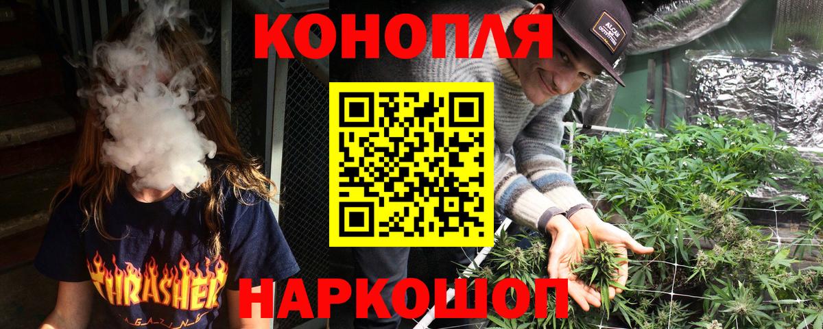 Бошки Шишки планчик Истра